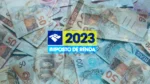 Restituição do Imposto de Renda 2023: Prioridades de Pagamento e Data da Consulta do Terceiro Lote